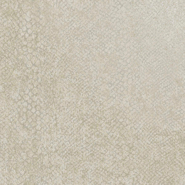 Sample - Boa Bead Wallpaper - Beige