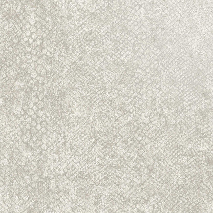 Boa Bead Wallpaper - Dove
