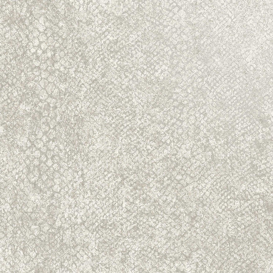 Boa Bead Wallpaper - Dove