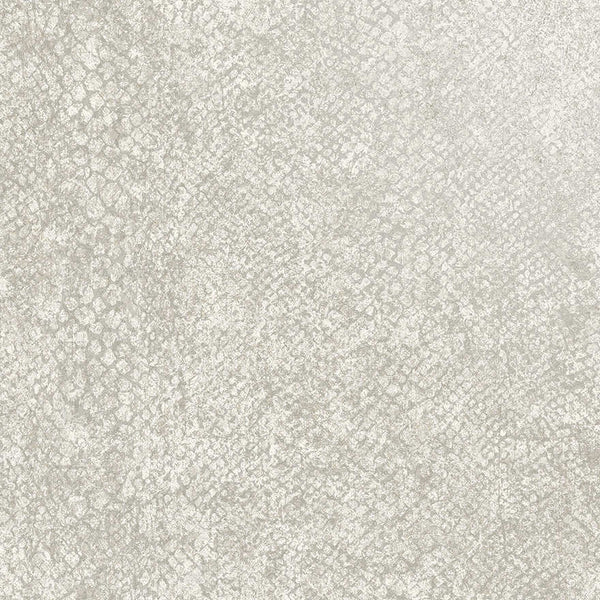 Sample - Boa Bead Wallpaper - Dove