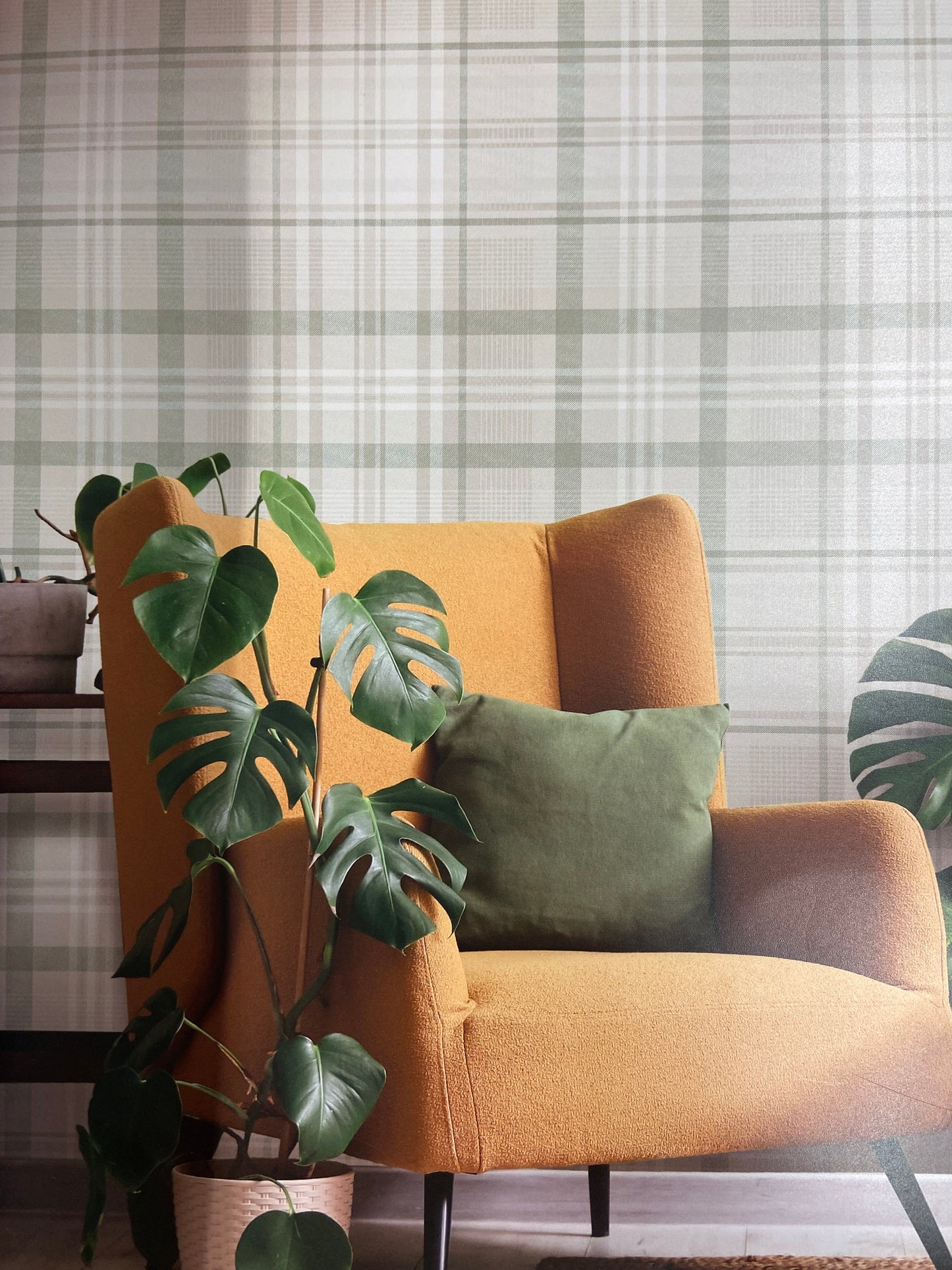 Kirkham Check - Plaid Wallpaper - Green