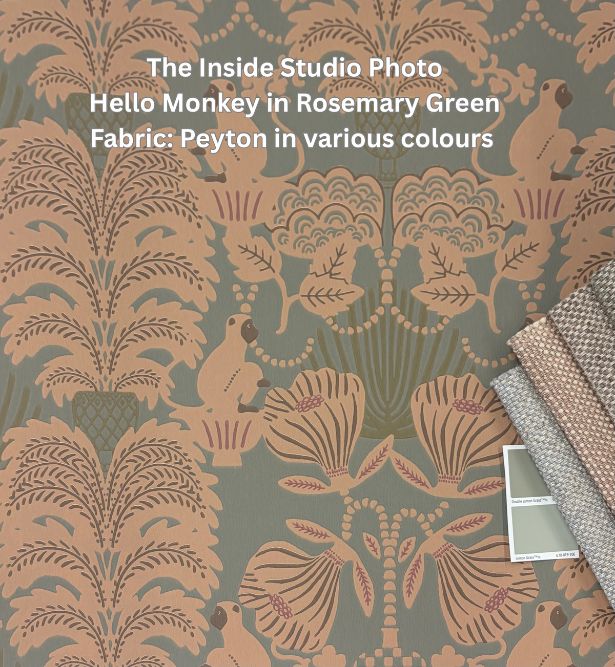 Hello Monkey Wallpaper - Rosemary Green