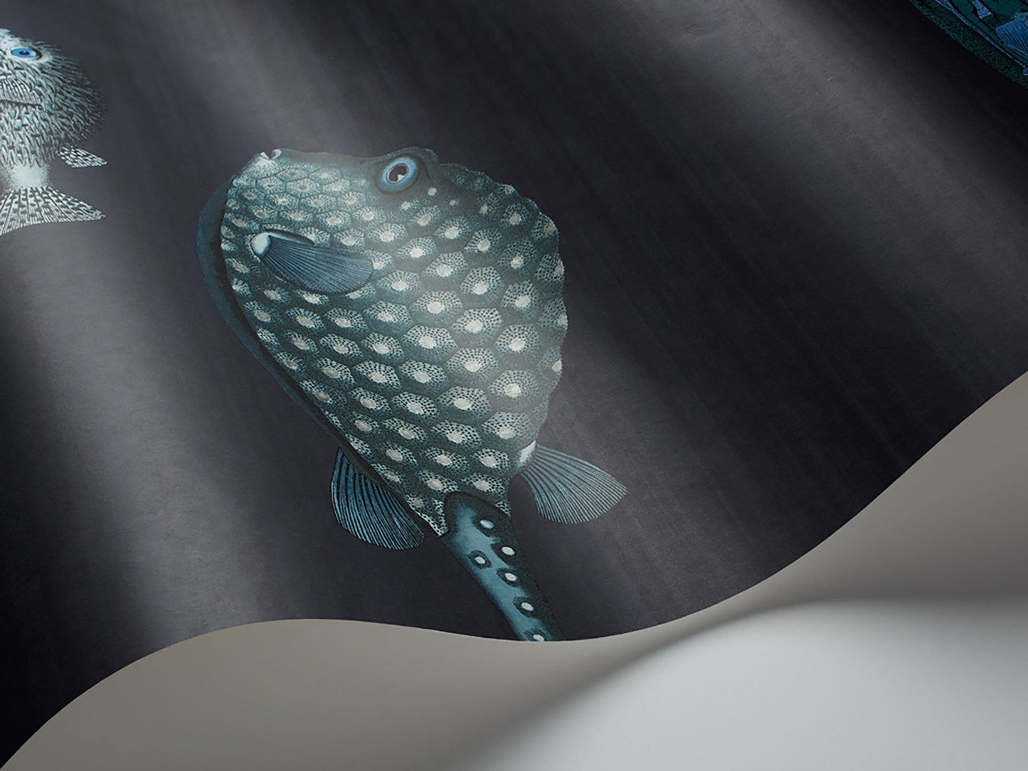 Acquario Fish Wallpaper - Ink