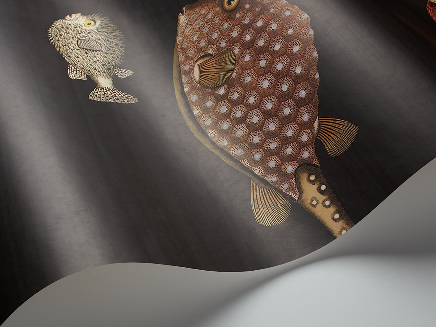 Acquario Fish Wallpaper - Charcoal