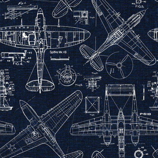 Zoom Airplane - Blue - Custom Sized Wallpaper Mural (per m2)