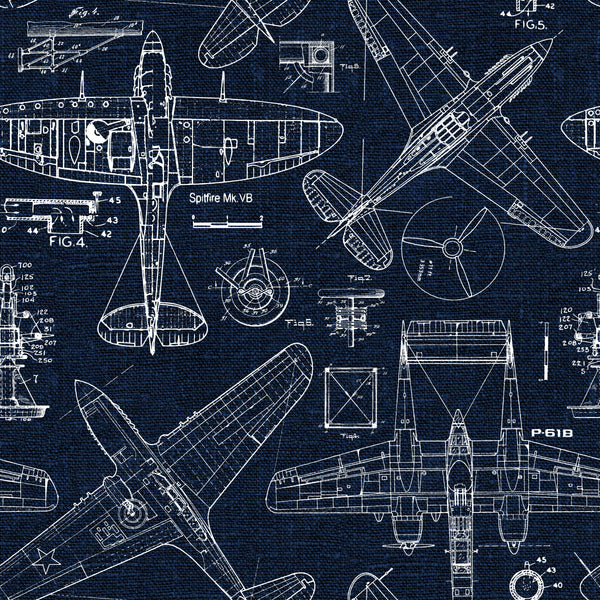 Sample – Zoom Airplane - Blue - Custom Sized Wallpaper Mural (per m2)