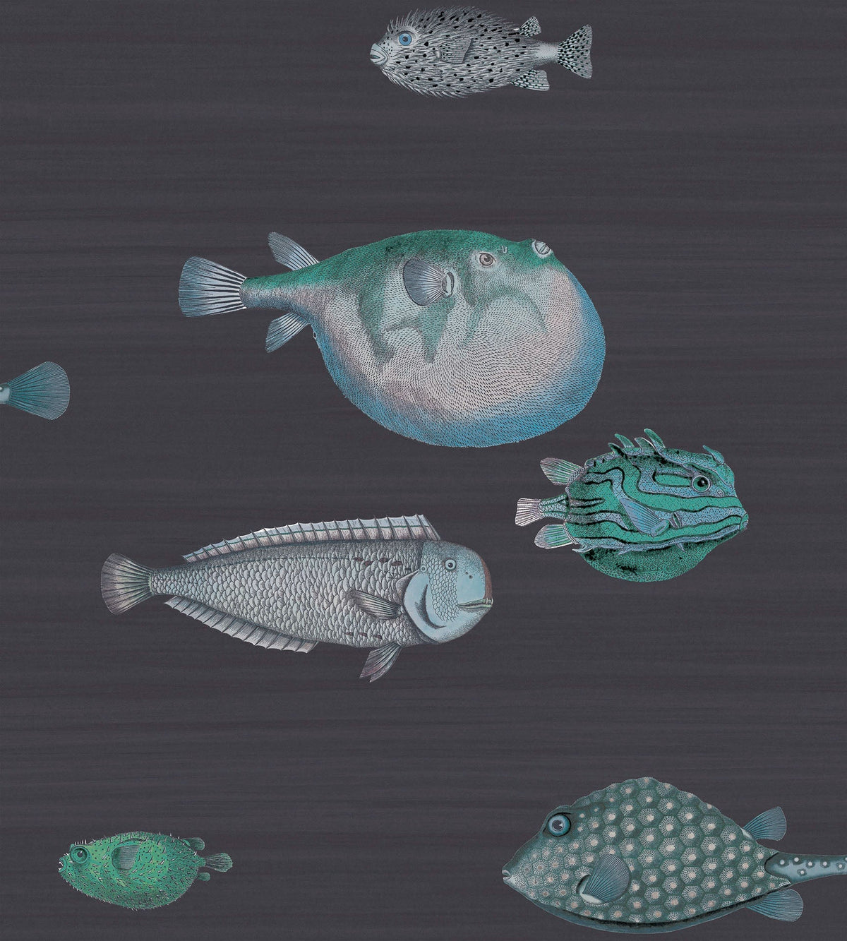 Acquario Fish Wallpaper - Ink