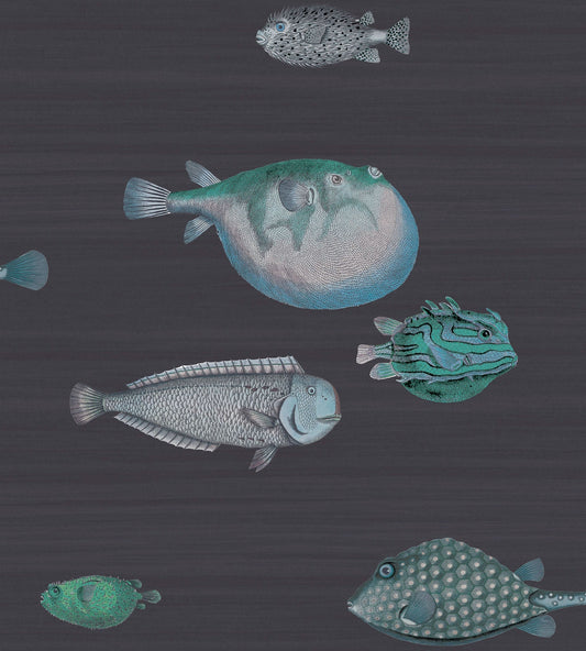 Acquario Fish Wallpaper - Ink