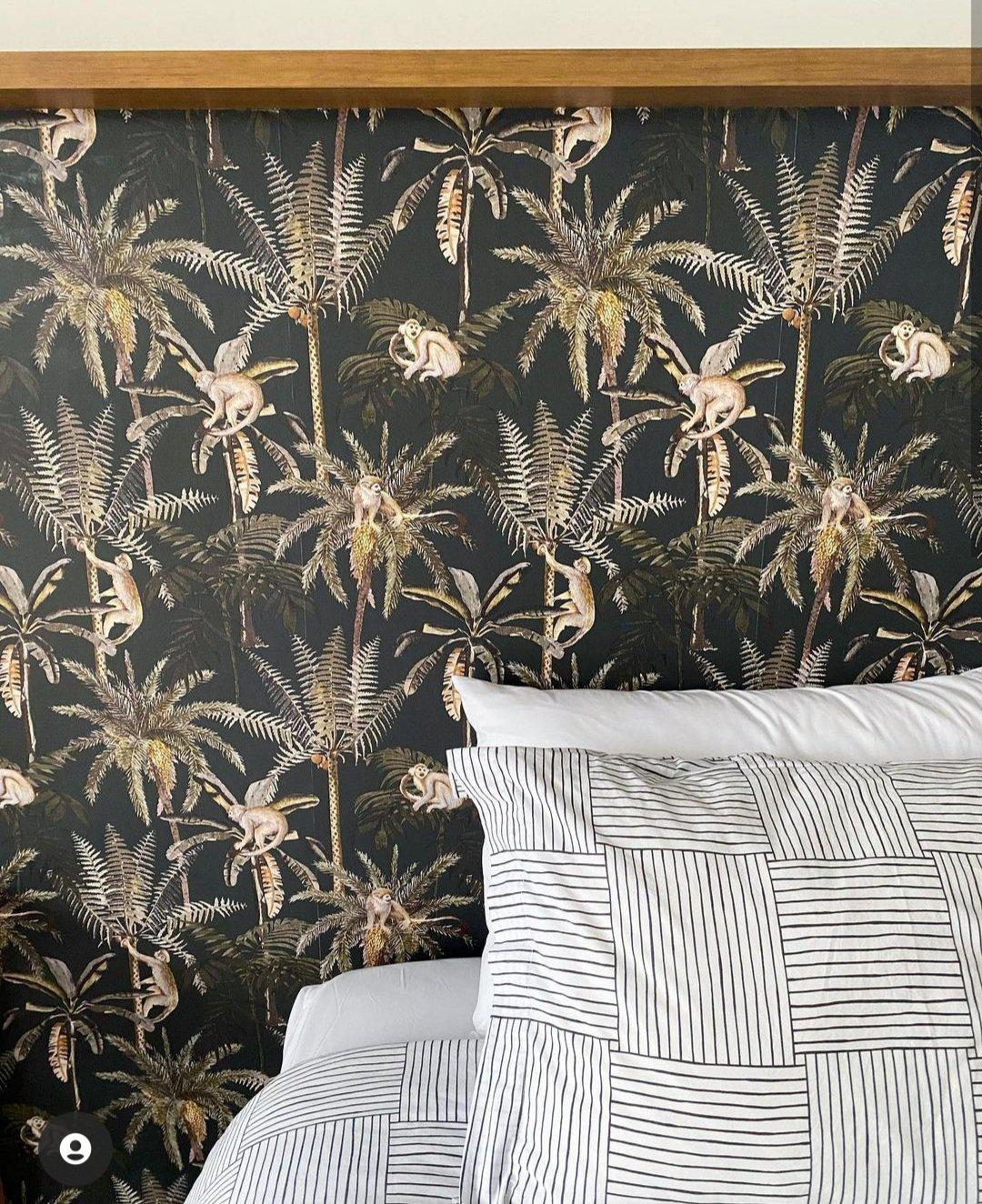 Ateles Spider Monkey Wallpaper - Black