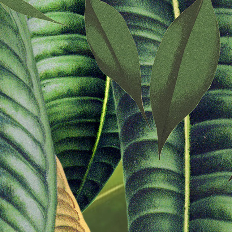 Into the Wild Mural Wallpaper - 248 H x 368 W