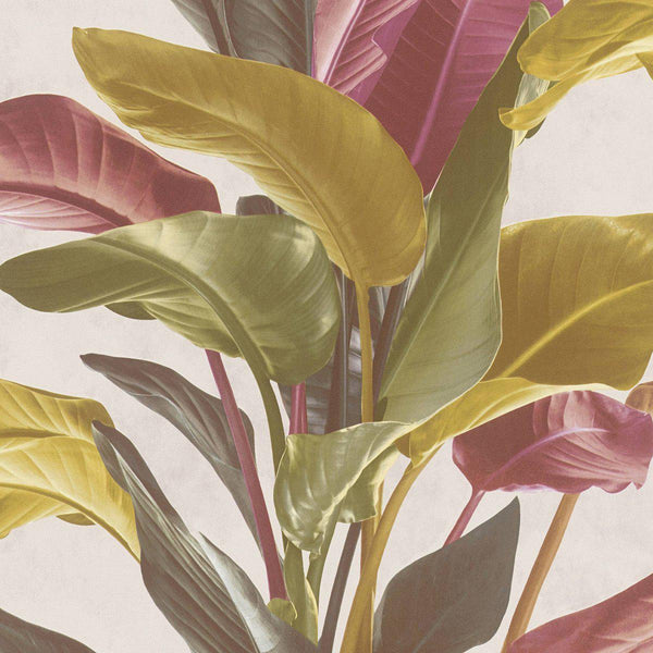 Sample - Banana Tropical Wallpaper - Red