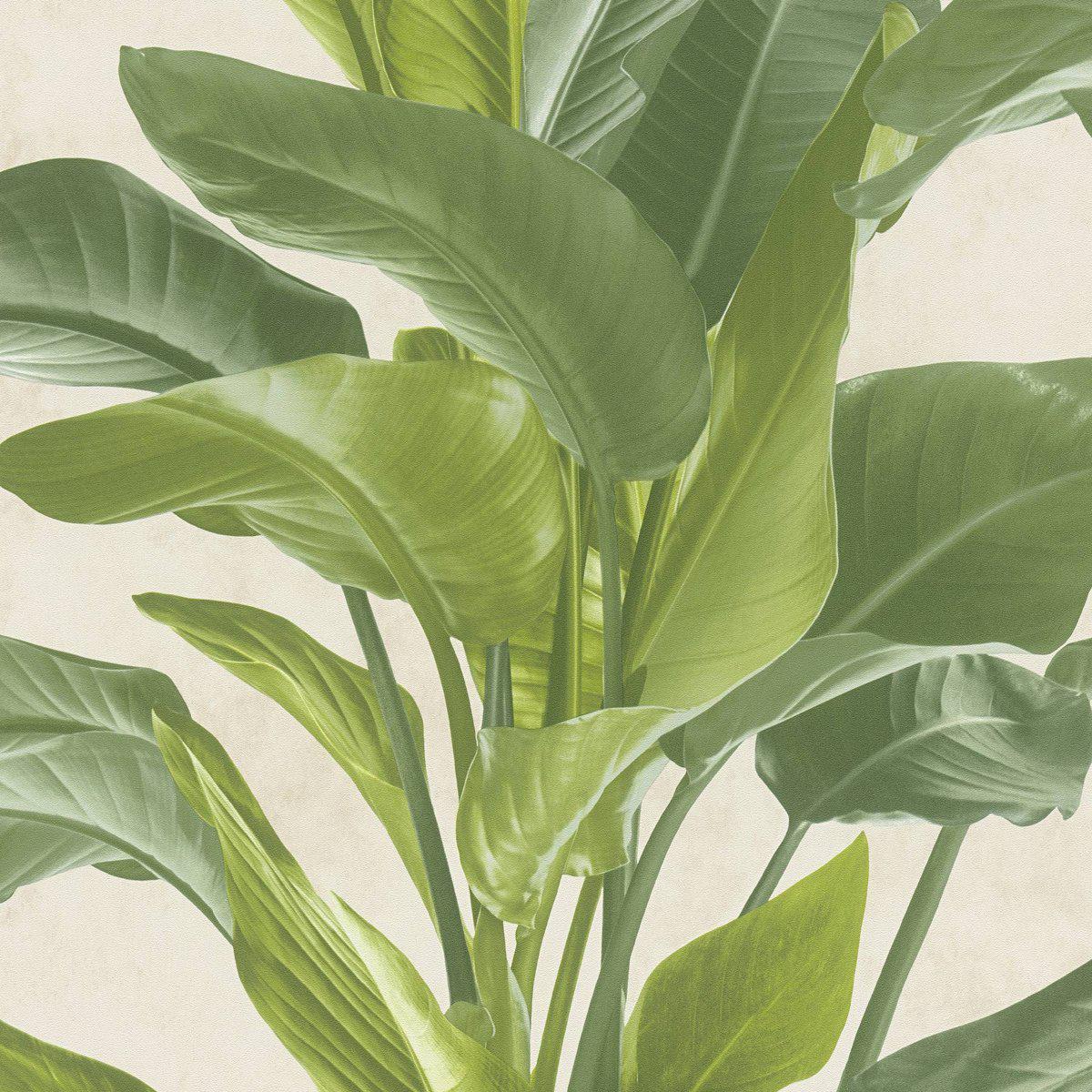 Sample - Banana Tropical Wallpaper - Cream/Green