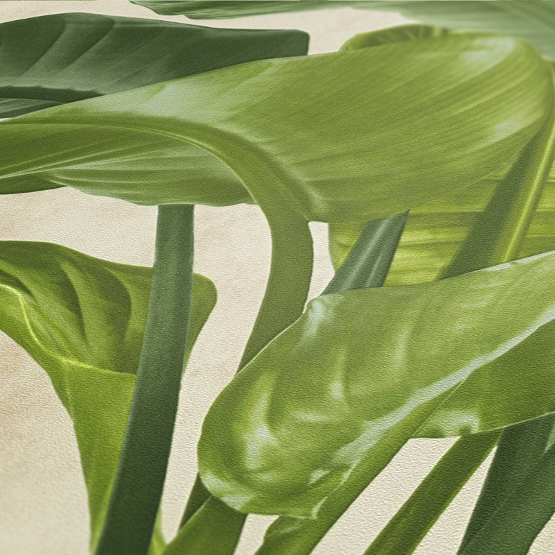 Banana Tropical - Cream + Green