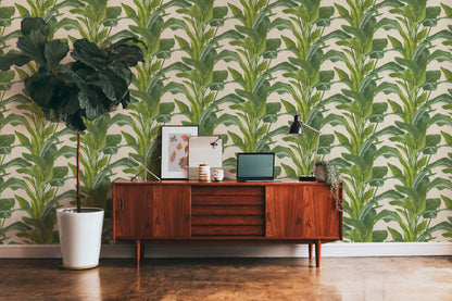Banana Tropical Wallpaper - Cream/Green