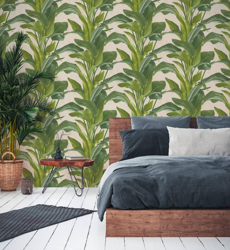 Banana Tropical - Cream + Green