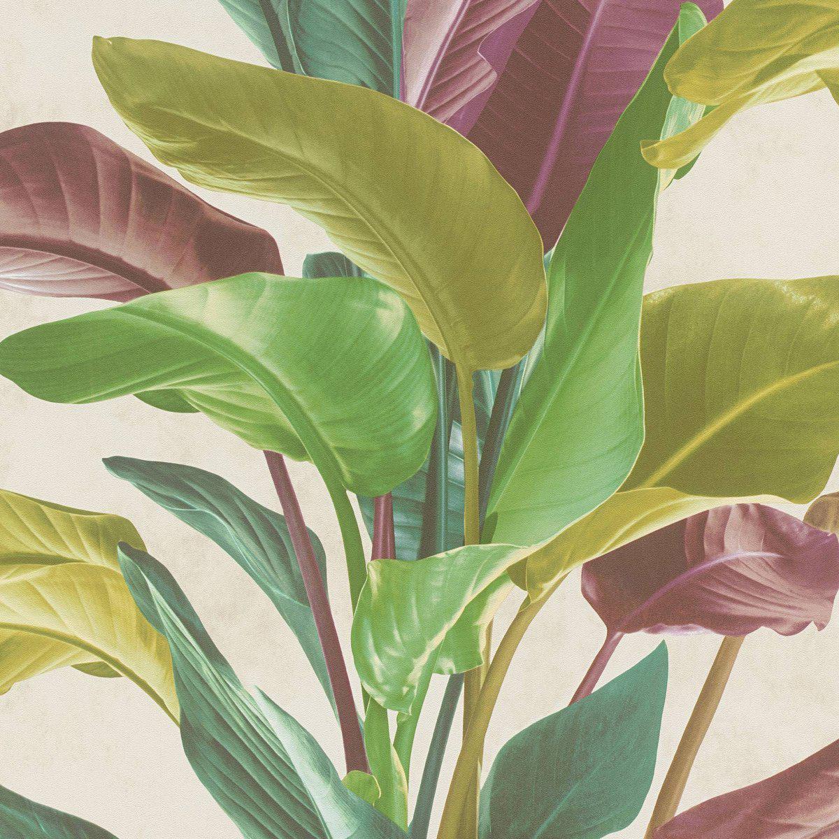 Sample - Banana Tropical Wallpaper - Multicolored