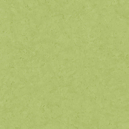 Barcelona Coordinates - Green