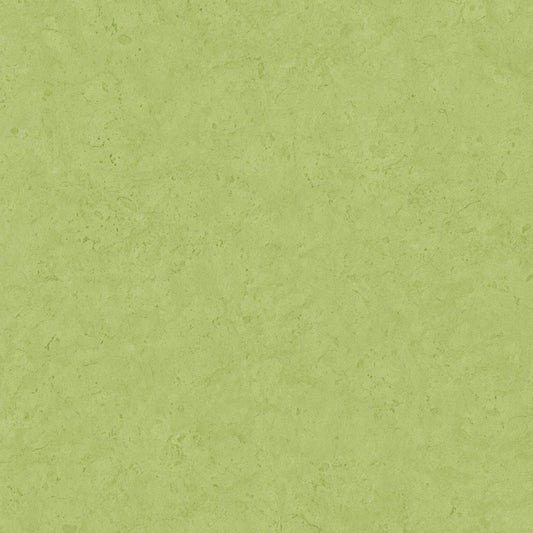 Barcelona Coordinates - Green