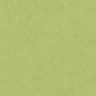 Barcelona Coordinates - Green
