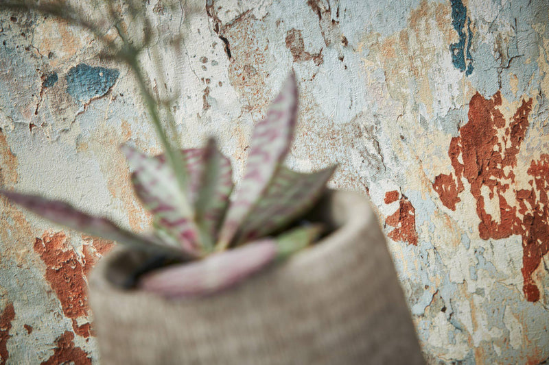 Barcelona Plaster Wallpaper - Grey - Green - Rust