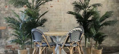 Barcelona Cane Dining Chair SALE - ASK US FOR A DELIVERY QUOTE