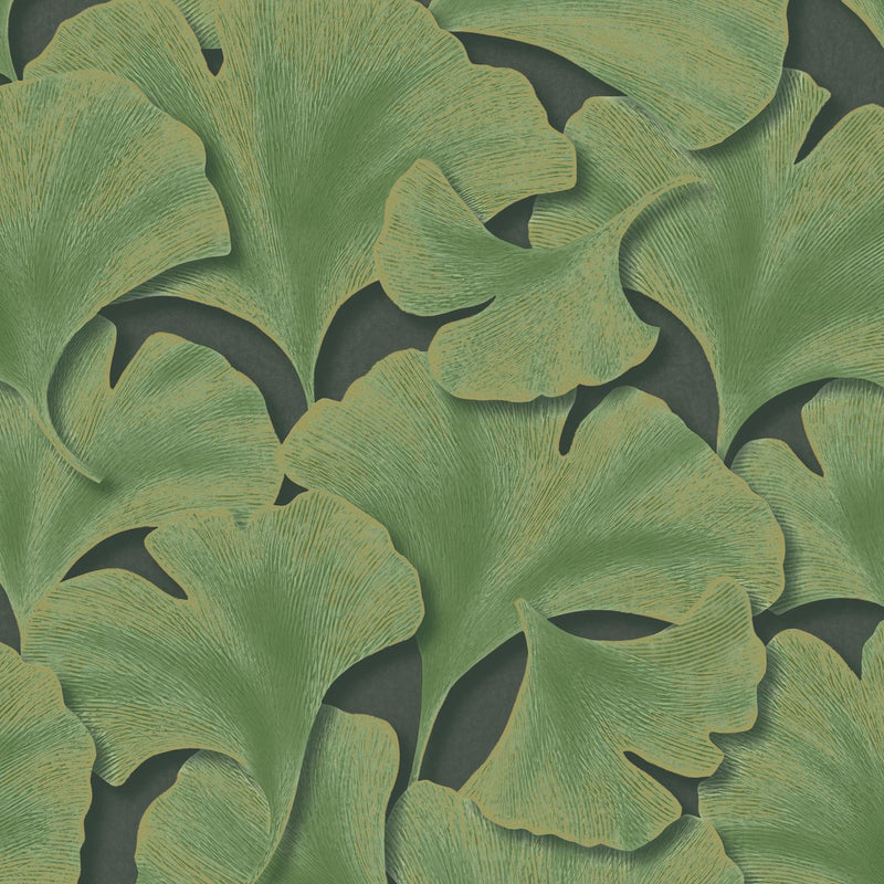 Biloba Ginkgo Wallpaper - 3 Colours