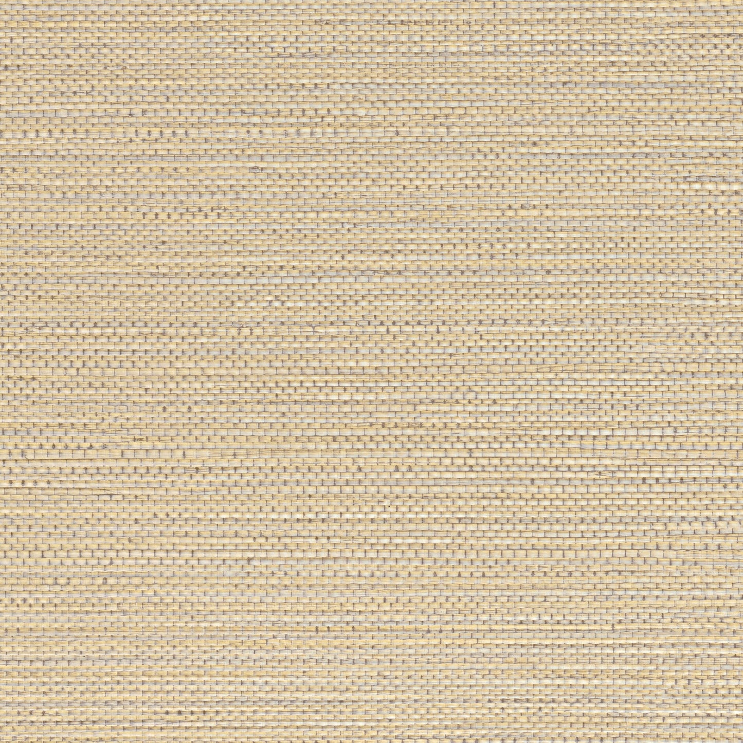 Zostera Seagrass Wallpaper - Almond