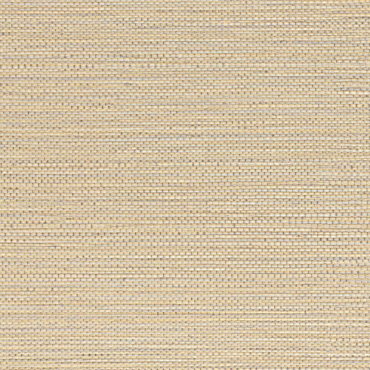 Sample - Zostera Seagrass Wallpaper - Almond