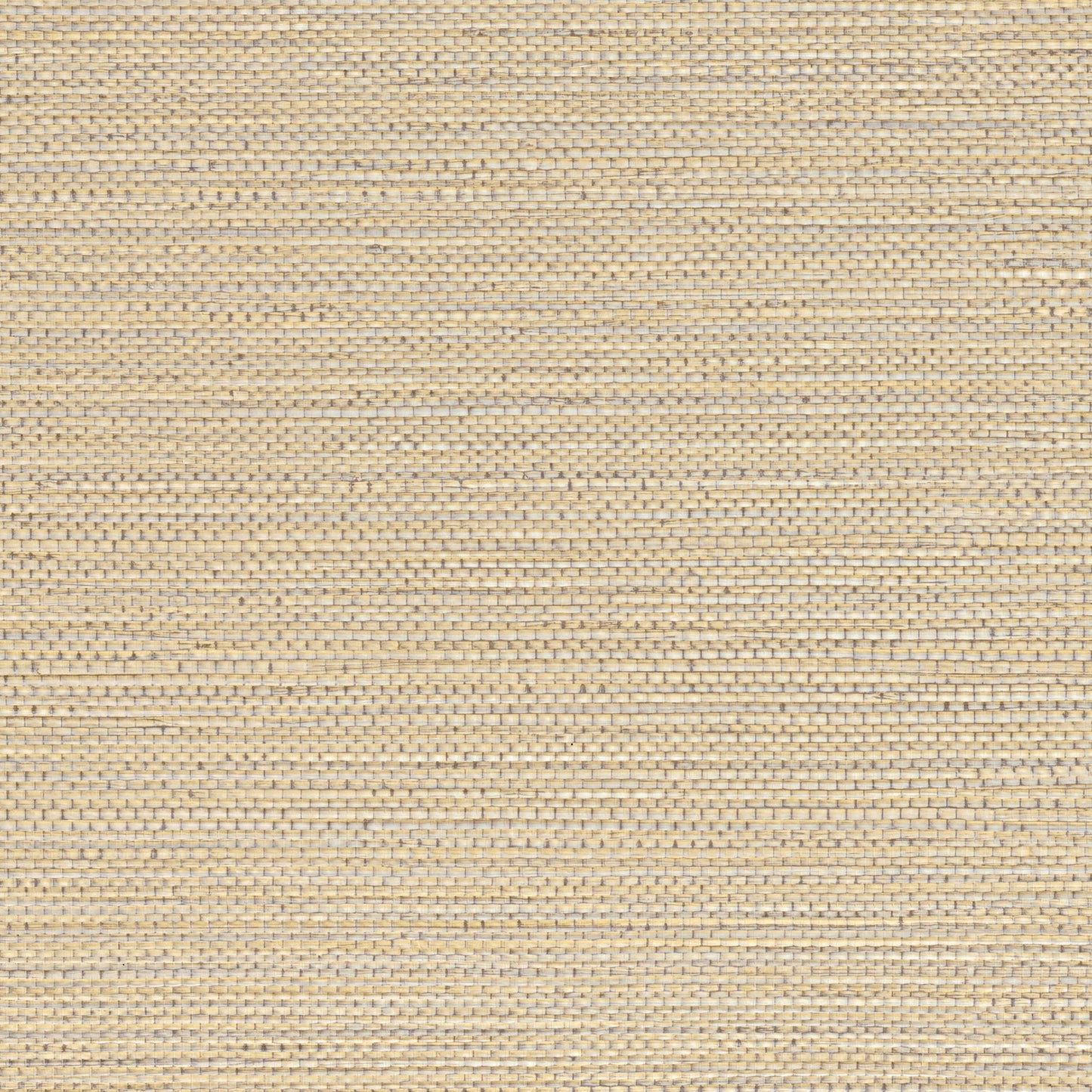 Sample - Zostera Seagrass Wallpaper - Almond