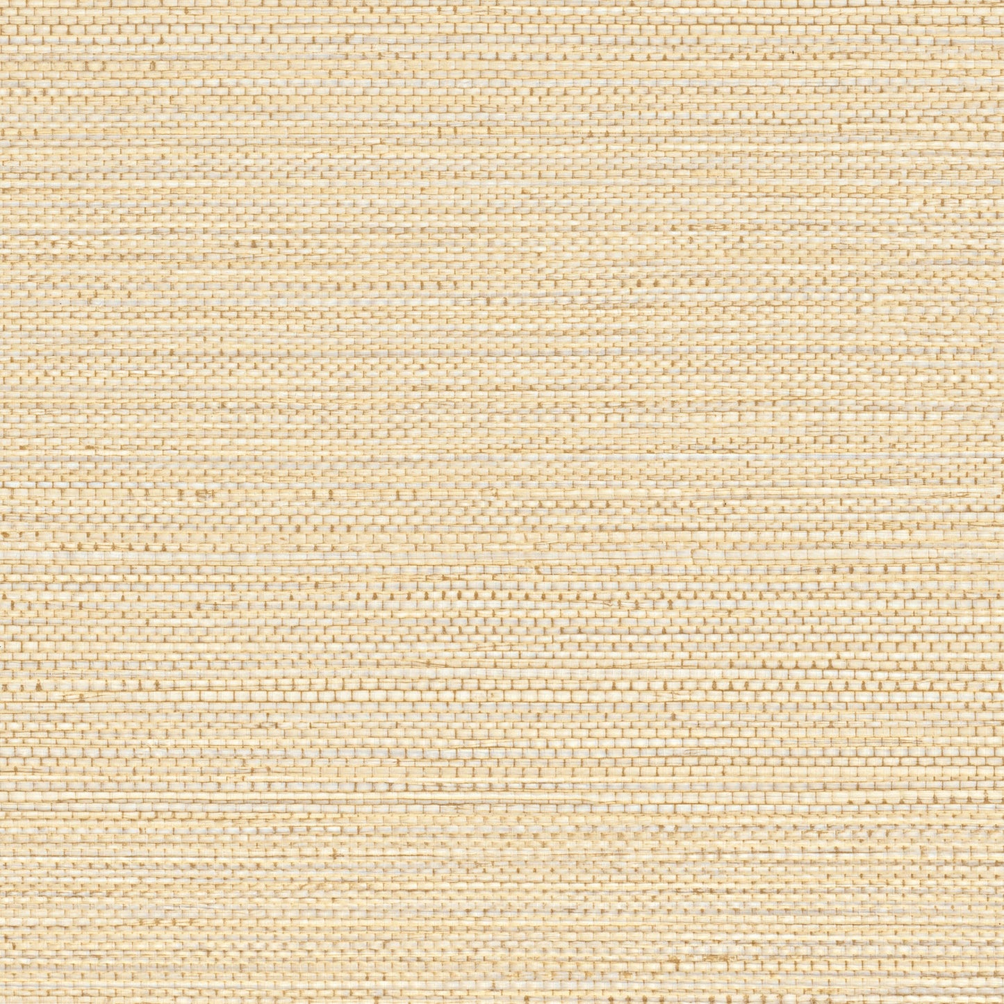 Zostera Seagrass Wallpaper - Bisque