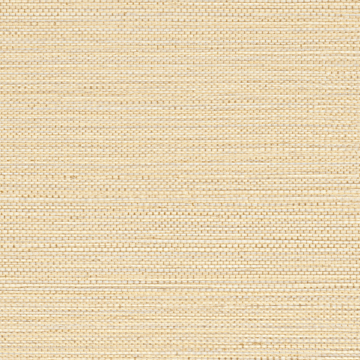 Sample - Zostera Seagrass Wallpaper - Bisque