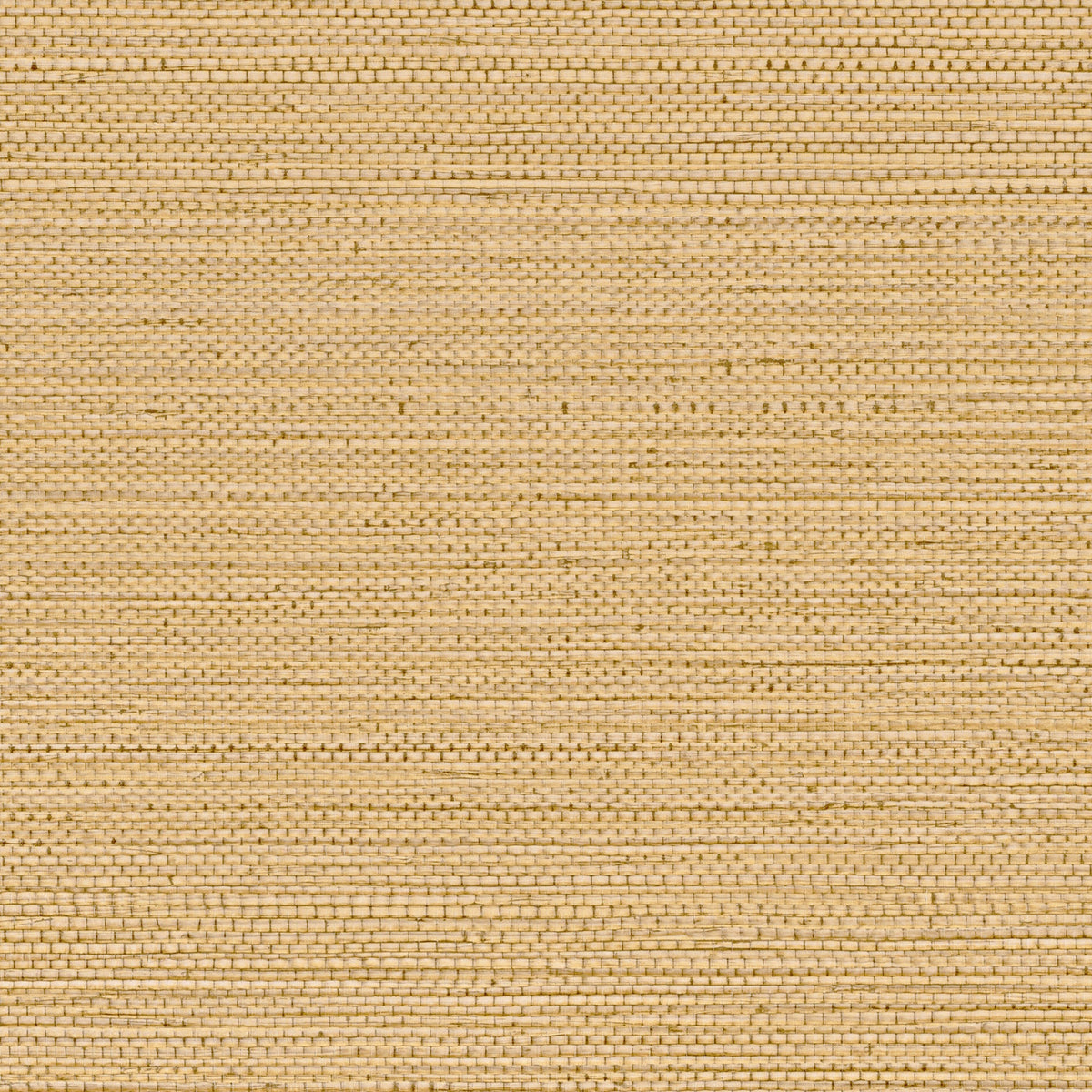 Sample - Zostera Seagrass Wallpaper - Buff