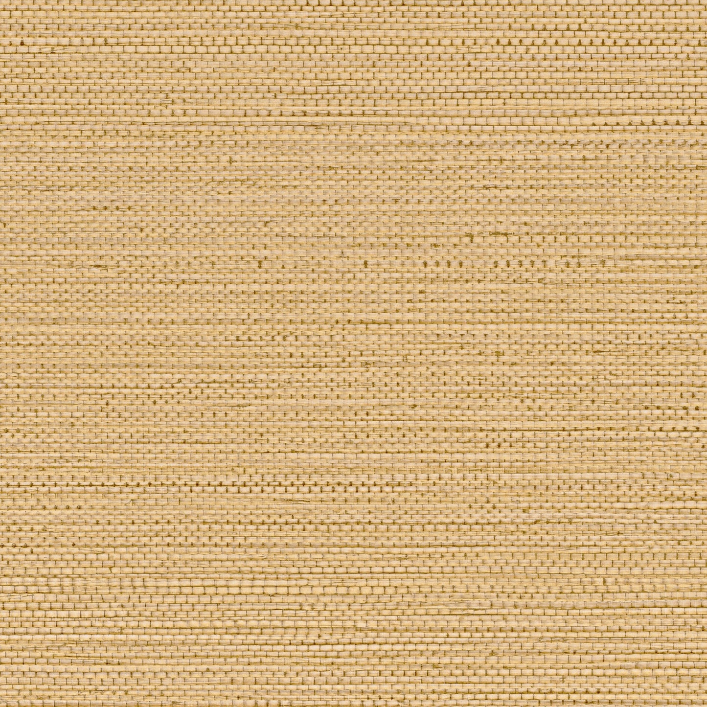Sample - Zostera Seagrass Wallpaper - Buff