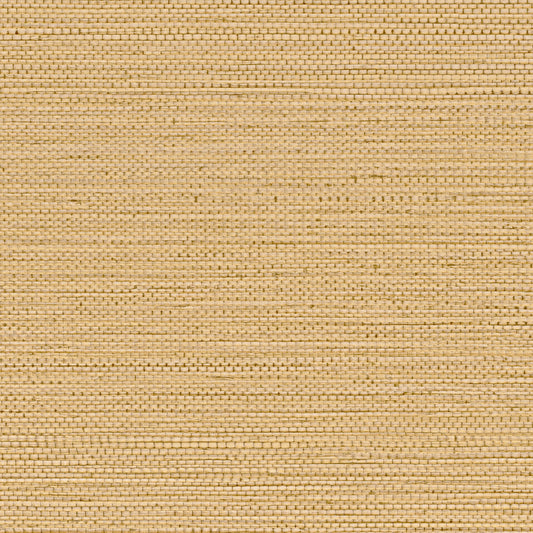 Zostera Seagrass Wallpaper - Buff