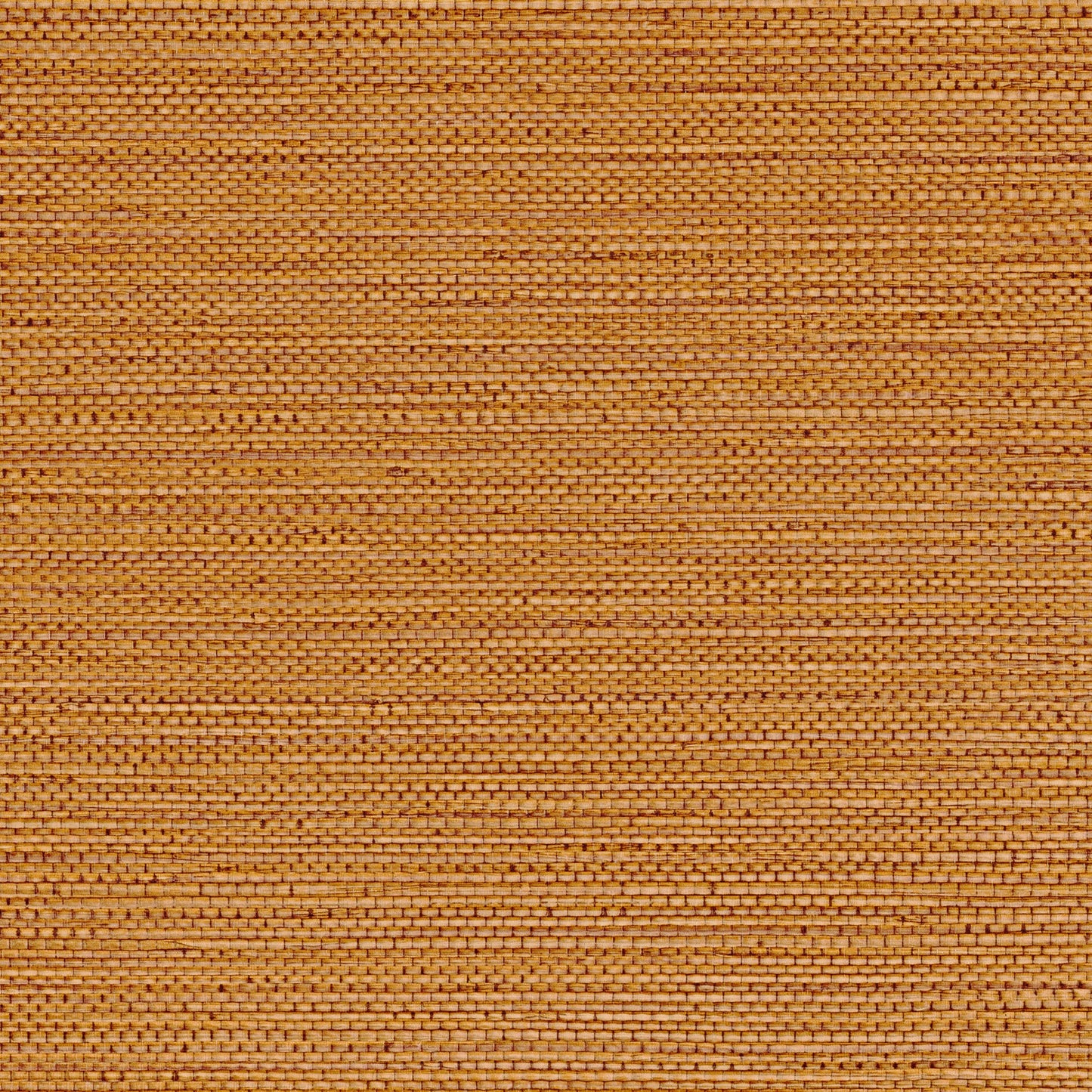 Zostera Seagrass Wallpaper - Tangerine