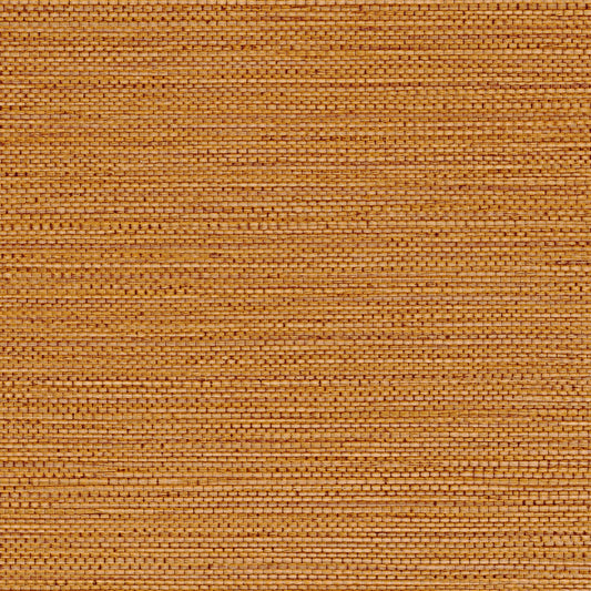 Zostera Seagrass Wallpaper - Tangerine
