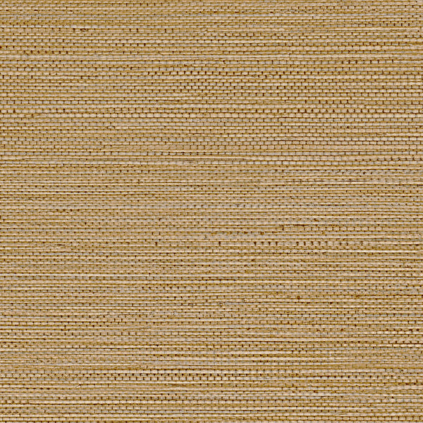 Sample - Zostera Seagrass Wallpaper - Brown