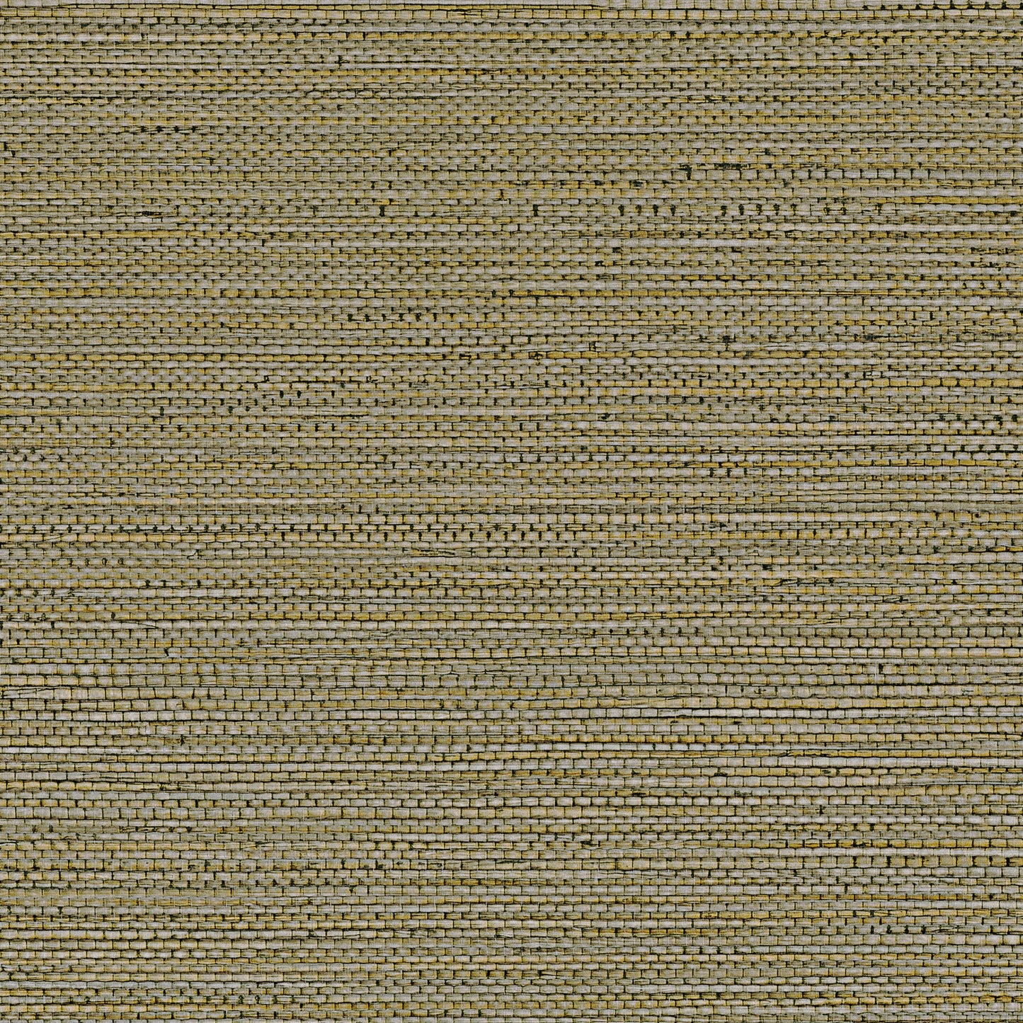 Zostera Seagrass Wallpaper - Army