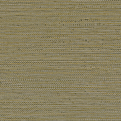 Zostera Seagrass Wallpaper - Army