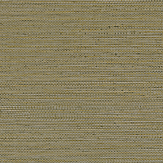 Zostera Seagrass Wallpaper - Army