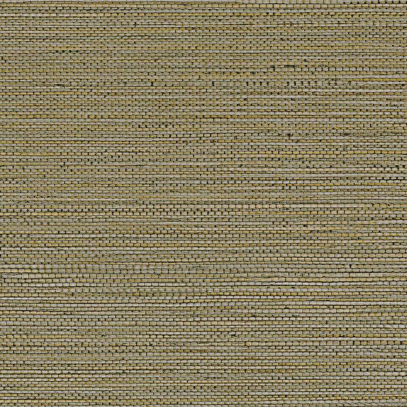 Zostera Seagrass Wallpaper - Army