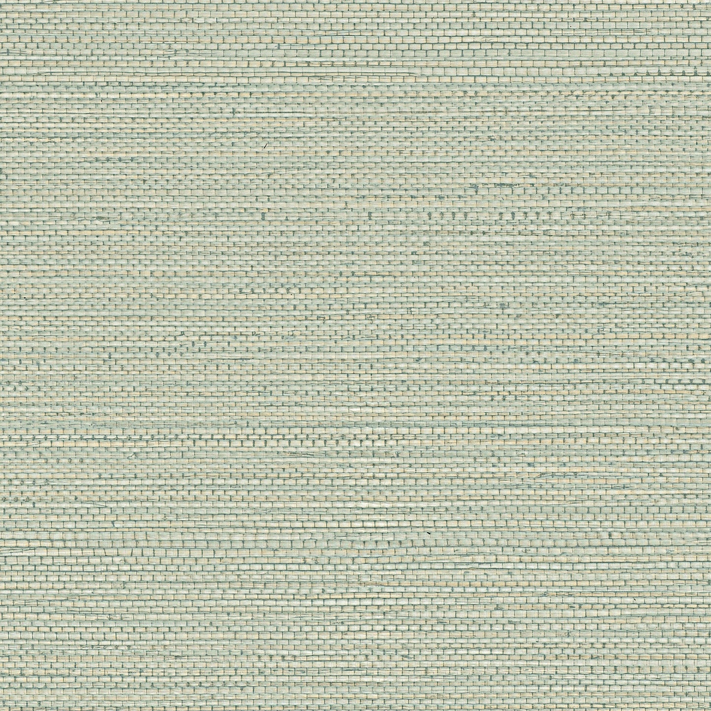 Zostera Seagrass Wallpaper - Grey