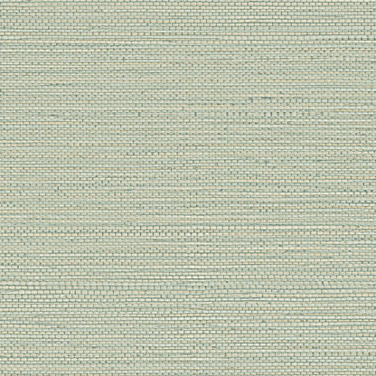 Zostera Seagrass Wallpaper - Grey