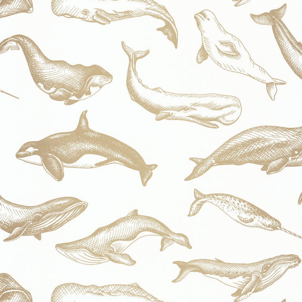 Whale Done Wallpaper - White