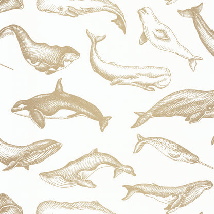 Whale Done Wallpaper - White