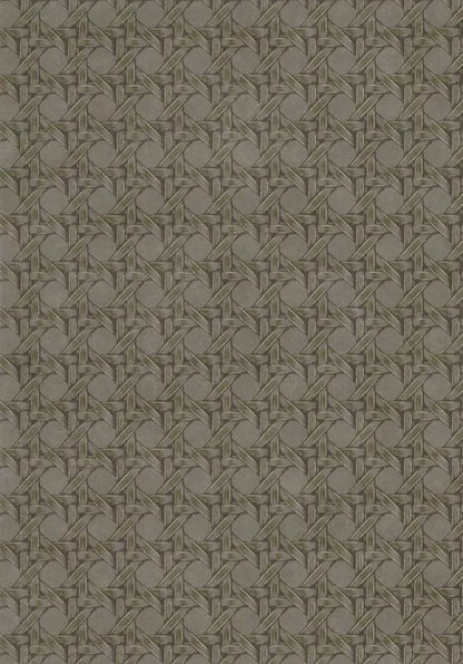 Cuba Paja - Vinyl Wallpaper - Vert Khaki - Last 5 Rolls