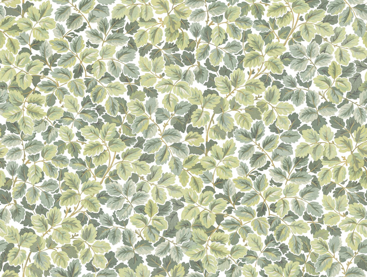 Regent's Park Wallpaper - Amande