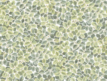 Regent's Park Wallpaper - Amande