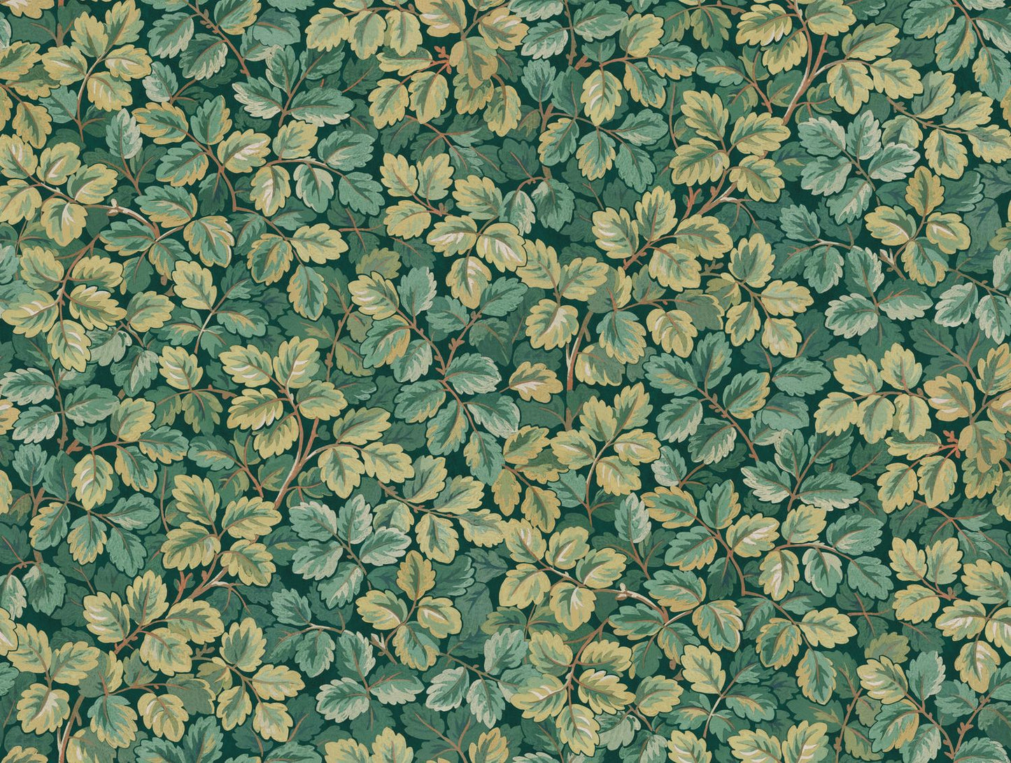 Regent's Park Wallpaper - Canopee