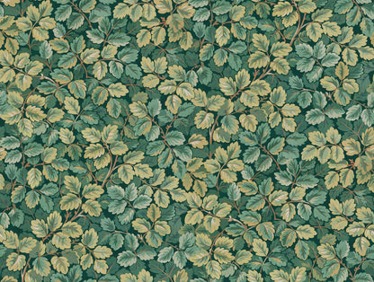 Regent's Park Wallpaper - Canopee